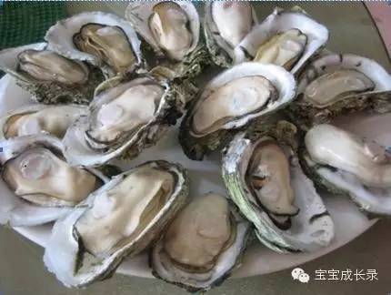 宝宝补锌的食物有哪些