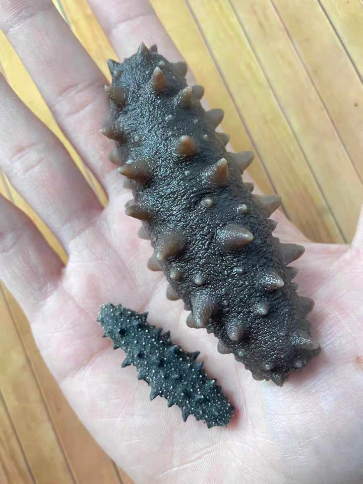 海参是补硒吗怎么吃