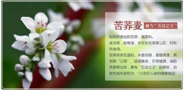 糖尿病补硒需要经常
