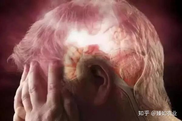 长期补硒导致血压高