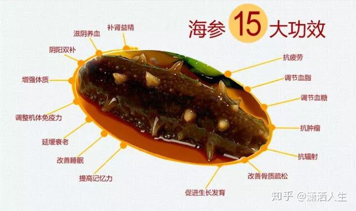 老年人补什么硒好?。ɡ夏耆瞬刮?硒宝网