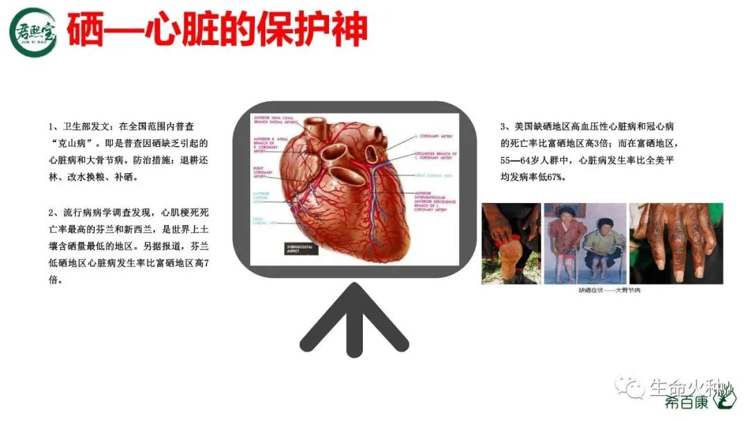 补硒对身体有何影响