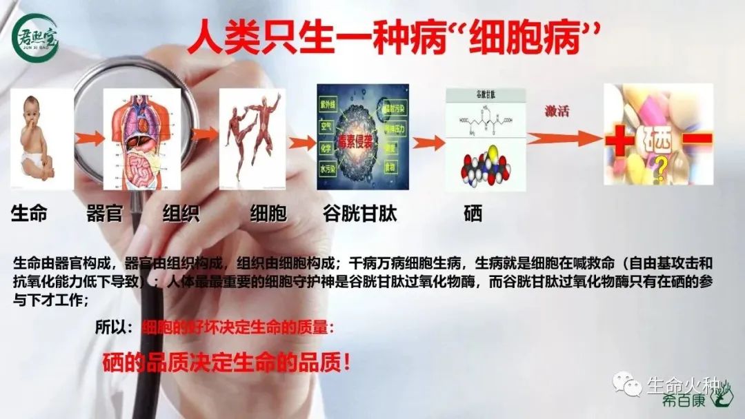 补硒对身体有何影响
