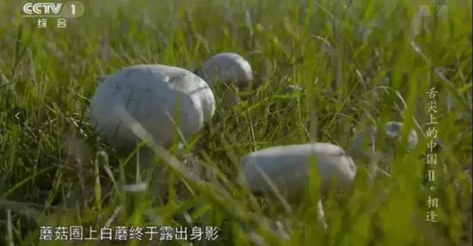 补硒不随饭吃可以吗