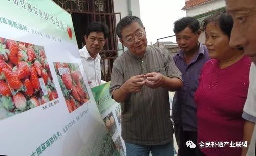 江苏每天补硒多少钱