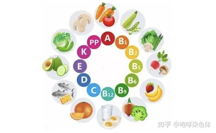 补镁和硒哪个重要些
