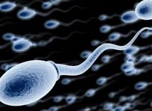 补锌补硒的药有哪些(补锌硒有副作用吗)-硒宝网