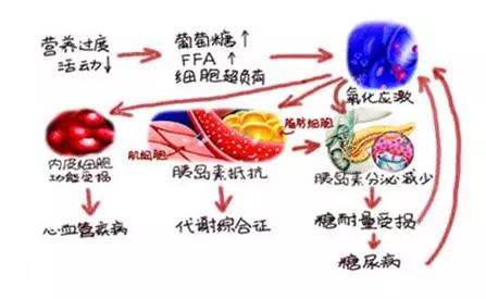 补硒能提高白蛋白吗