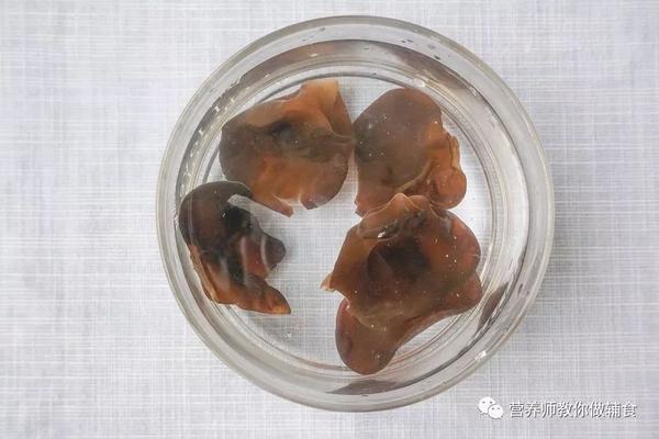 儿童补锌食谱