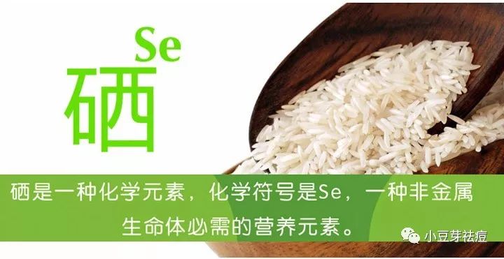 吃什么食物补硒和锌