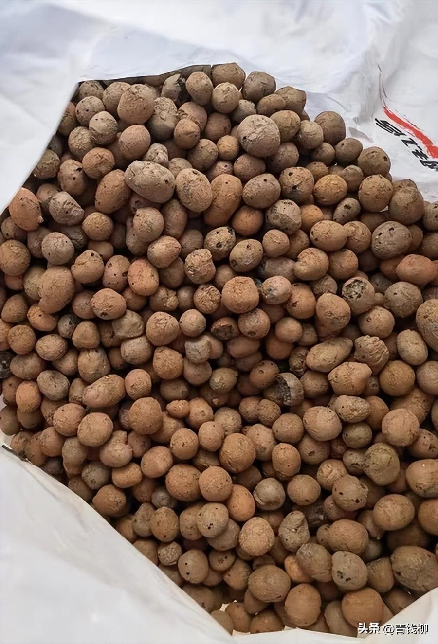 补铁颗粒