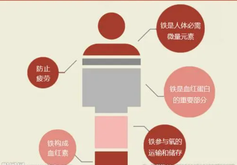 用铁锅炒菜能补铁吗
