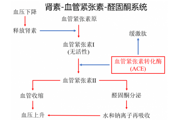 低钠血症怎么补钠