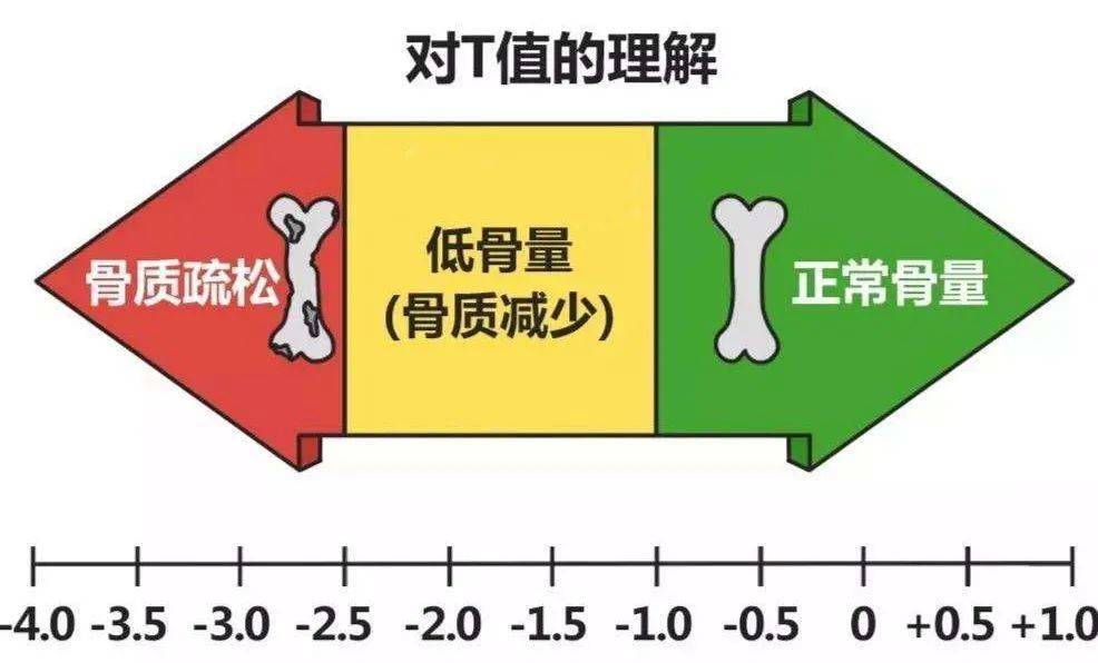 维生素d3可以补钙吗