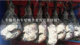 牛腿骨和牛尾哪个更有营养价值？