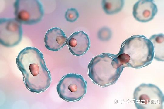 补硒治疗艾滋病案例