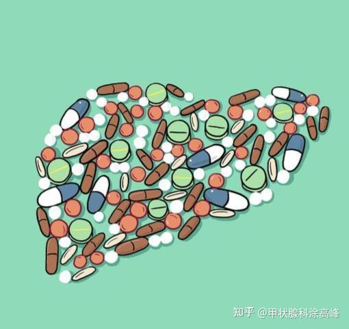 甲状腺素高能补硒吗