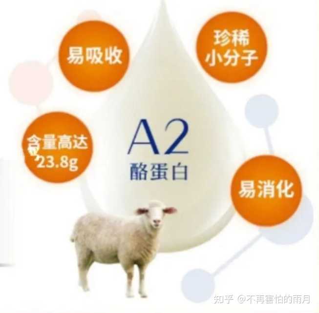 补硒和钙哪个营养好