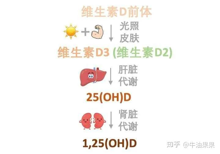 桥本需要补维d和硒