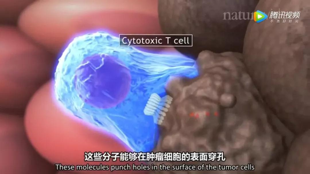 锰作用和补硒的好处