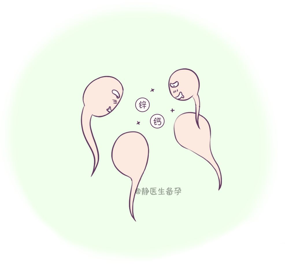 锌硒备孕期补多少量
