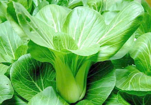 吃虾皮能补钙吗？医生：补钙的4种食物，多数人都不爱吃