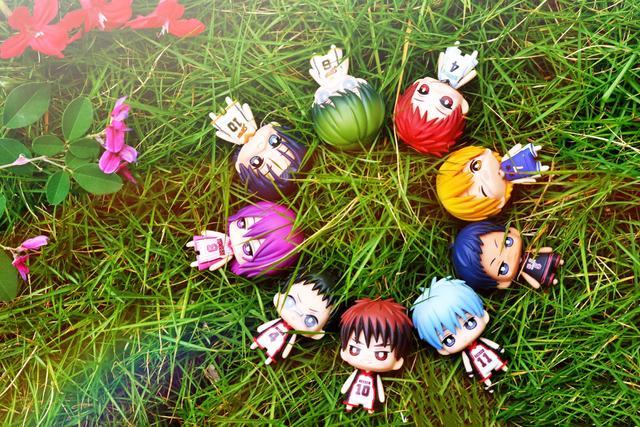 牡蛎补钙吗(补钙牡蛎壳煮多长时间)-硒宝网