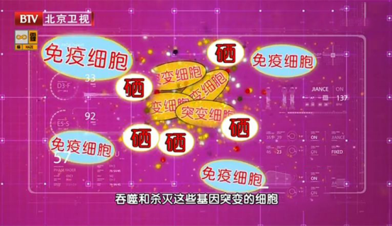 成年人缺硒怎么补快