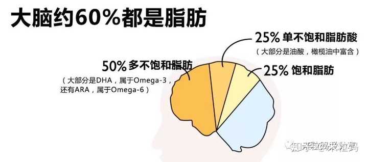 补钙对长高有用吗