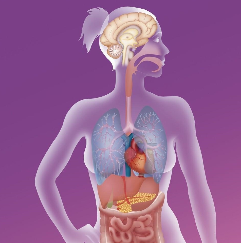 肝硬化补硒的必要性