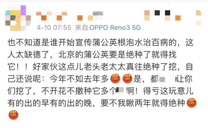 补硒可以泡西洋参吗