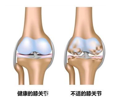 补钙喝什么奶粉好