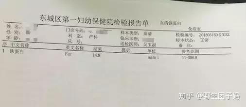 孕期几个月开始补铁
