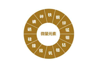 人体各种微量元素的正常指标是多少？