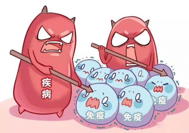 西洋参补硒吗怎么吃