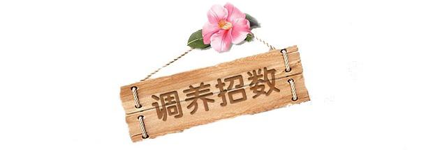 补硒对护肝药的作用(硒?;じ卧嘤心募父龇矫妫?硒宝网