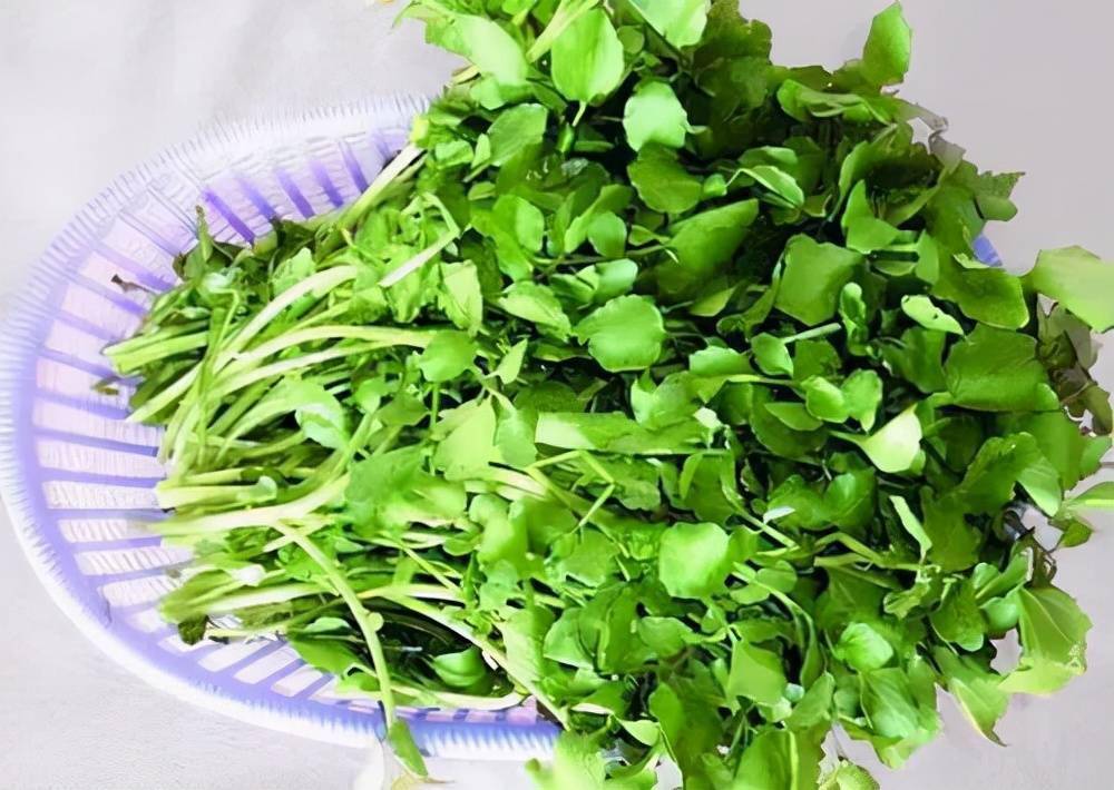 甲亢和甲减能补硒吗