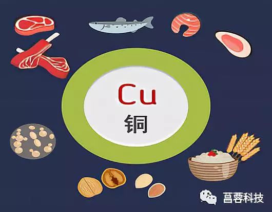 头发白缺什么微量元素