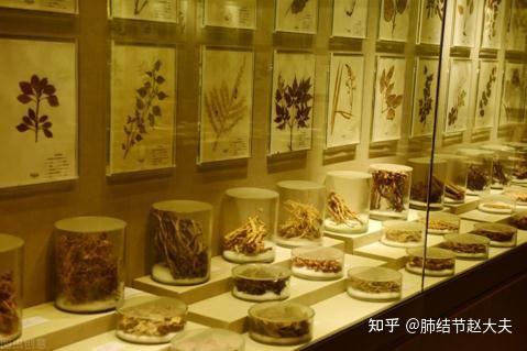有肺结节补硒好不好