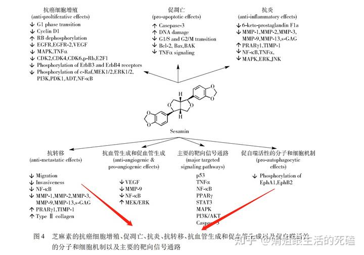 补钙喝什么牛奶