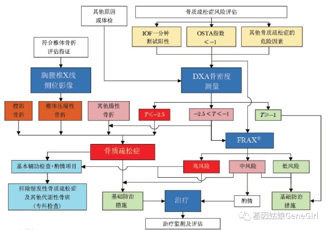 骨折 补钙