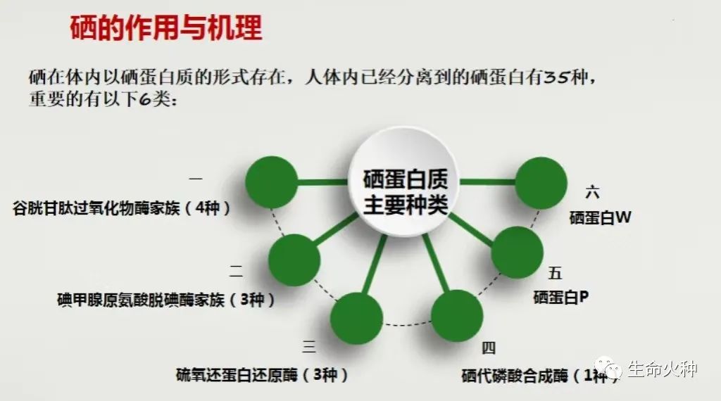 甲减单独补硒可以吗