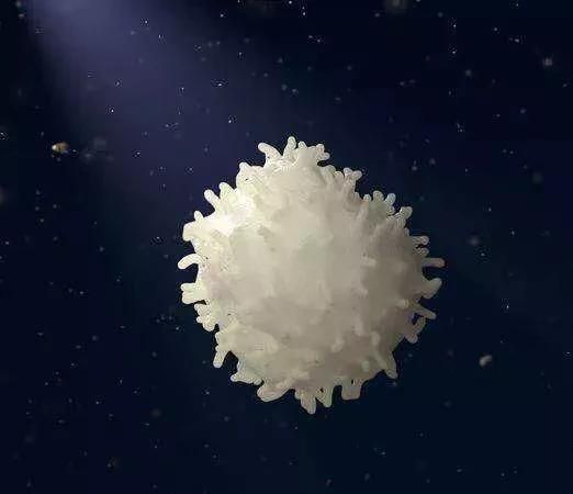 白血病患者怎样补硒(白血病补硒辅助治疗)-硒宝网