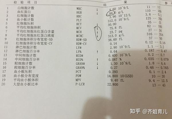 补铁的作用