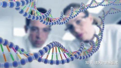 提高抵抗力补硒的药
