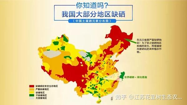 补硒的都是保健品吗