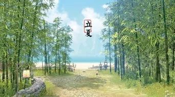补硒后能吃西洋参吗