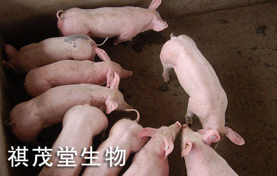 母猪补硒的药多少钱