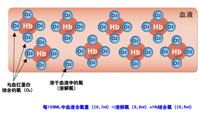 补铁最快的方法