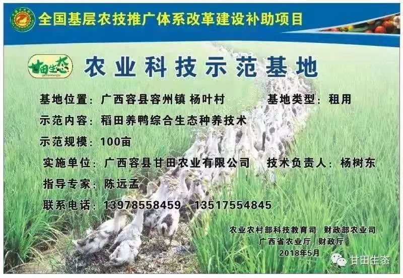 补硒的保健品有几种